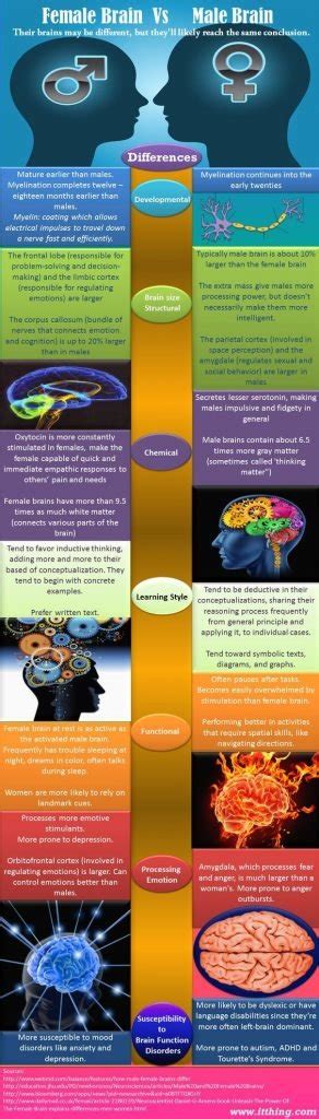 How Do The Male And Female Brain Differ What Is Psychology