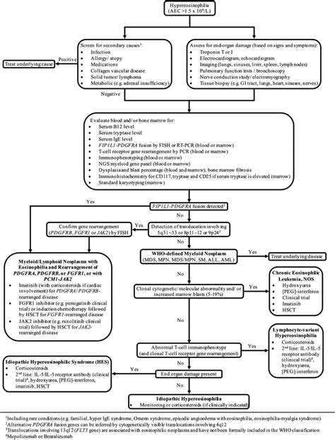 Diagnostic And Treatment Algorithm Based On The Revised 2016 Who