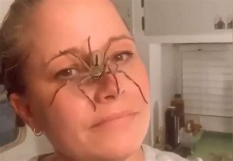 Spider Woman Records Venomous Critter Crawling On Her Face Outkick