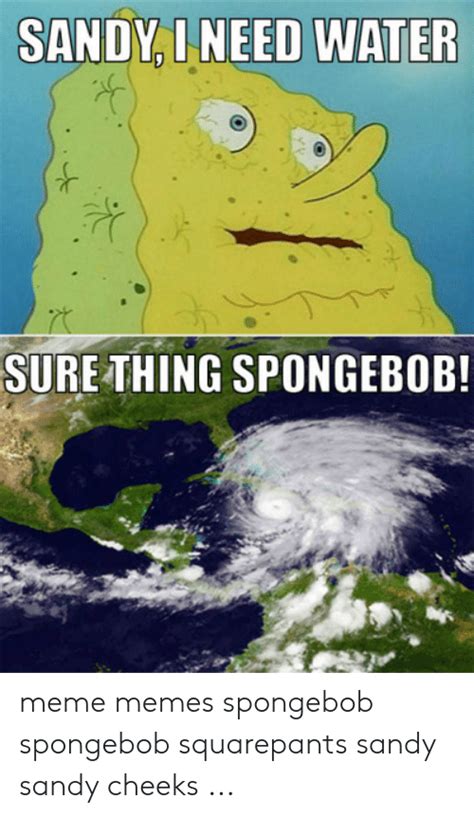 Sandy I Need Water Sure Thing Spongebob Meme Memes Spongebob Spongebob