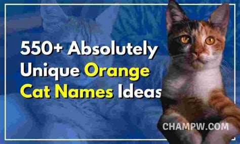 See more ideas about cat names, kitten names, cute cat names. 550+ Absolutely Unique Orange Cat Names Ideas in 2020