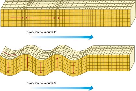 Ondas Sísmicas Qué Son Características Y Tipos Meteorología En Red