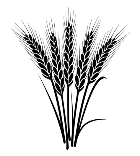 Пшеничный колос стоковые векторные изображения иллюстрации