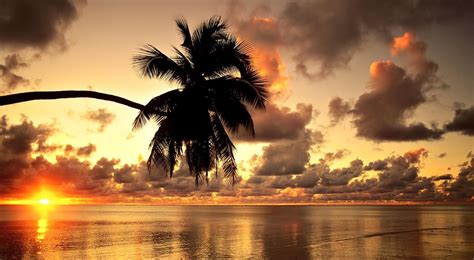 Hawaiian Sunrise Wallpaper