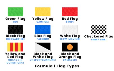 Formula 1 Flag Types