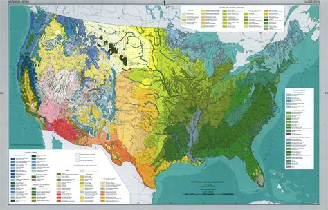 Natural Vegetation In Contiguous United States 1966 Vegetation Map
