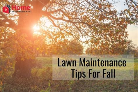 Lawn Maintenance Tips For Fall Homemembership