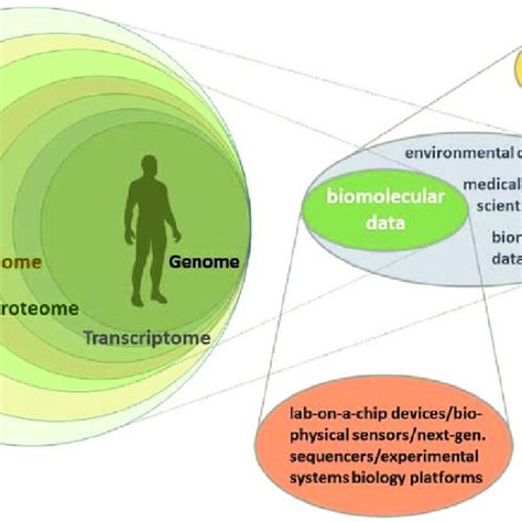 The Workflow Of Food Metabolomics Consisting Of Food And Human Sample