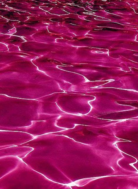 Pin By Lety On Fuchsia Magenta Hot Pink Wallpaper Pink