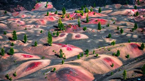 15 Amazing Things In Nature You Wont Believe Actually Exist