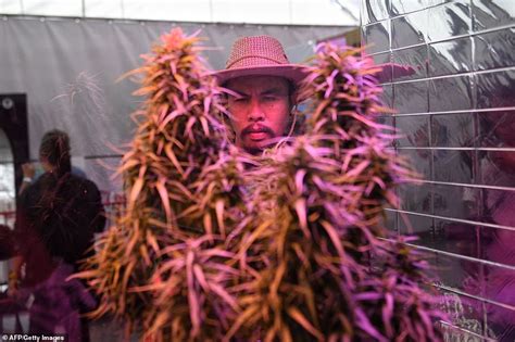 Junta Controlled Thailand Hosts Weed Festival Months After Legalising