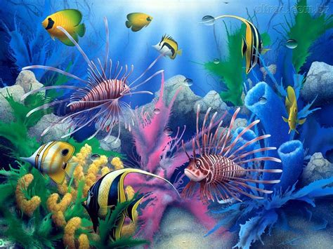 Vida Alta Feliz Da Vida 3d Nature Wallpaper Fish Wallpaper