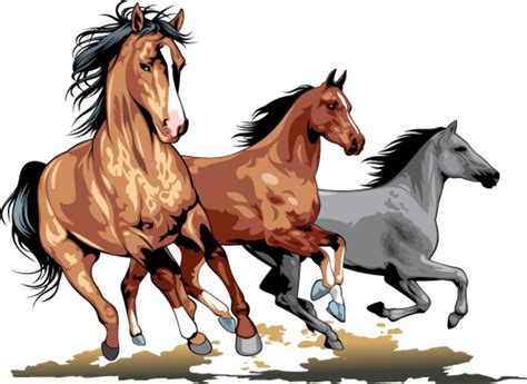 Download High Quality Horse Clipart Realistic Transparent