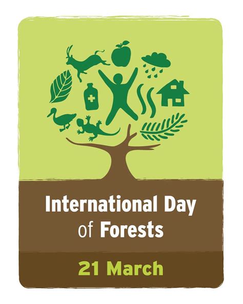 International Day Of Forests International Day Forest Pictures Forest