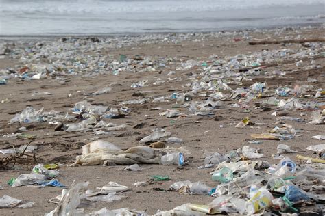 Garbage Environment Beach · Free Photo On Pixabay