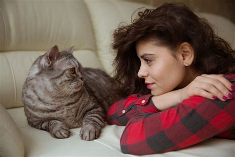 comment voit exactement le chat santévet