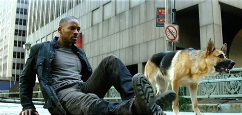 Mostly Movies I Am Legend Movie Review A Legend For The Wrong Reasons