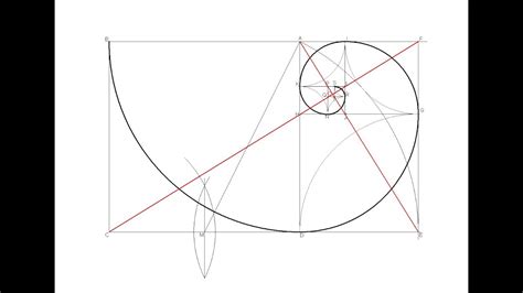 Espiral Áurea O De Fibonacci Rectángulo Áureo Youtube