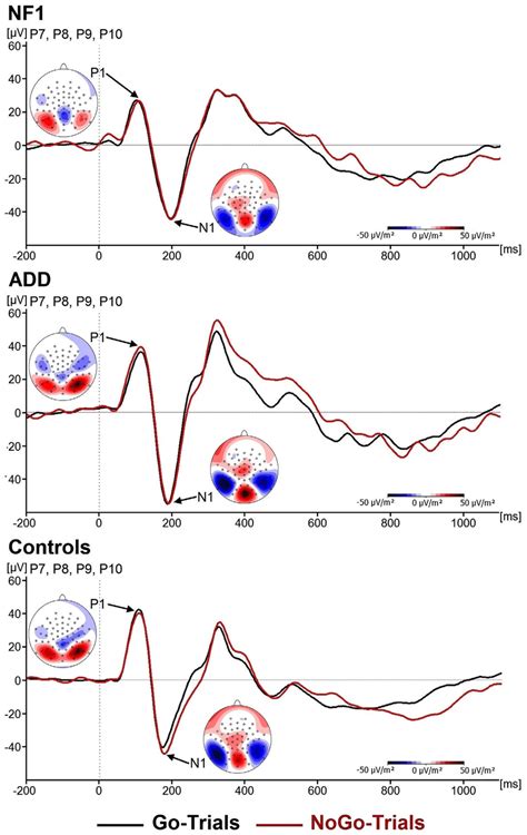 Event Related Potentials Erps Showing The P1 And N1 Component On Go