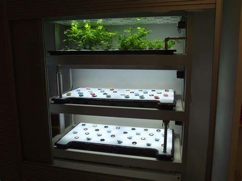 Check spelling or type a new query. Grow Your Garden Without Sunlight With LED Grow Lights ...