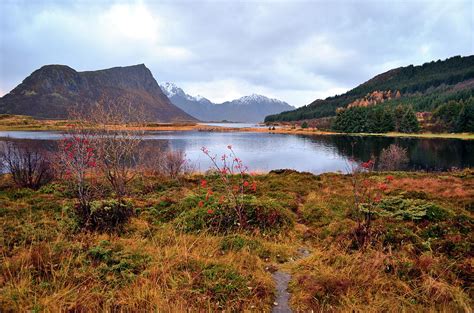 Marvelous Landscape With Lake And Mountains View Photograph By Cavan