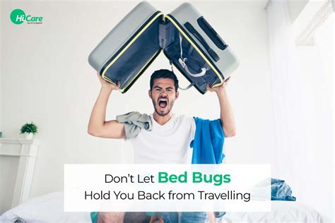 Bed Bugs Control Top 6 Effective Ways To Control Bed Bugs Easily