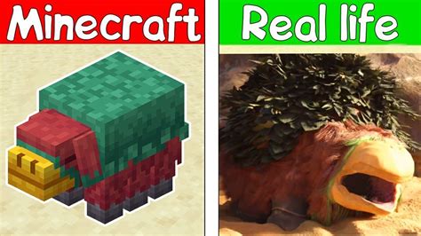 Realistic Sniffer Vs Minecraft Sniffer Realistic Minecraft Youtube
