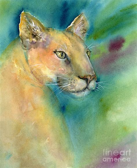 Cougar Painting By Amy Kirkpatrick Fine Art America