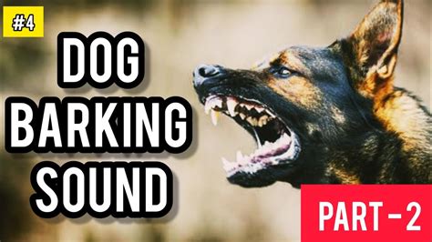 Dog Barking Sound Effect Dog Barking Sound 4 Free Sound Effects