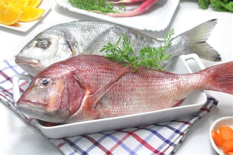 Receta ¡cómo Saber Si El Pescado Está Fresco Ybarra En Tu Cocina