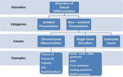 Approach To The Newborn With Disorders Of Sex Development Intechopen