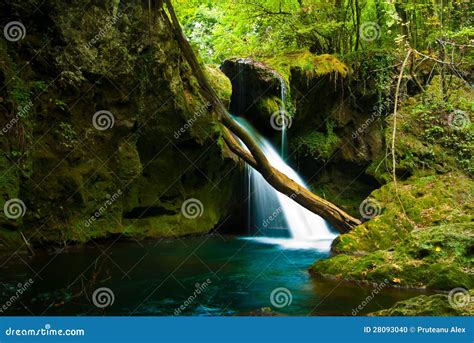 Susara Waterfall Stock Photo Image Of Idillyc Cheile 28093040