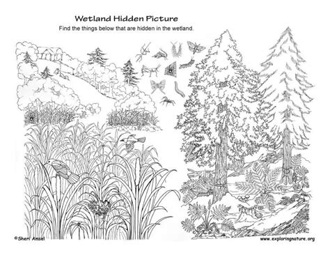 Group of five african animals. Wetlands Hidden Picture PDF @ http://www.exploringnature ...