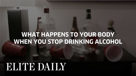 What Happens To Your Body When You Stop Drinking Alcohol Body And Mind Youtube