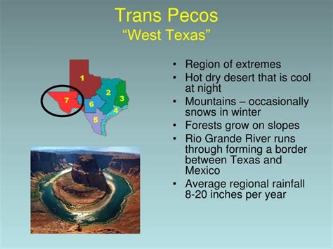 Ppt Ecoregions Of Texas Powerpoint Presentation Id1791828