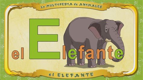 La Multipedia De Animales Letra E El Elefante Youtube