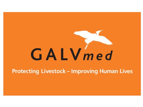 Vacancies With Galvmed Global Alliance For Livestock Veterinary