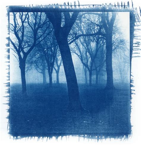 How To Make Cyanotype Prints Shoot It With Film