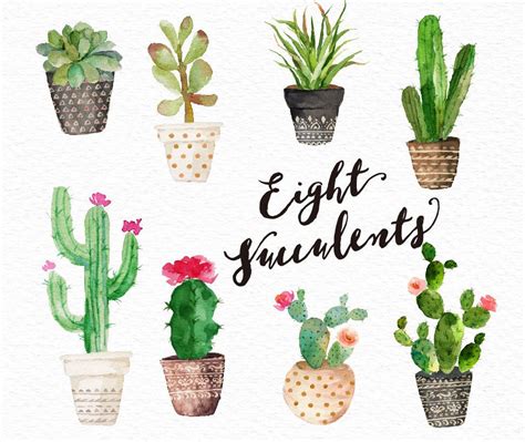 Watercolor Succulent Clip Art Collection Small Setdigital Etsy