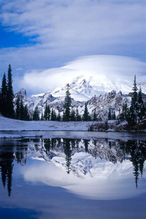 Beautiful Winter Scene Android Wallpaper Reflection Lake Winter Mt Rainier 640x960 Wallpaper