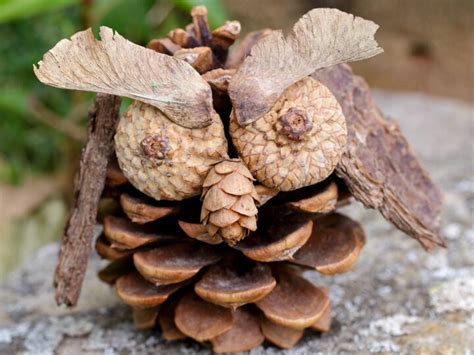 How To Make Pine Cone Owls