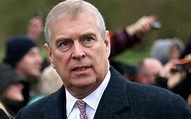 Prince Andrew says there may be 'fresh grass' for British business ...