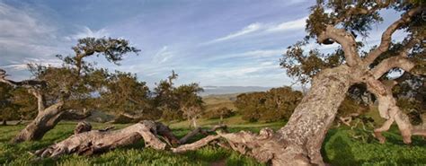 Fort Ord National Monument Bureau Of Land Management