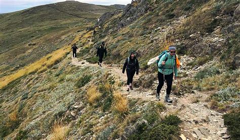 Mount Kosciuszko Guided Day Walk Experience Nsw National Parks