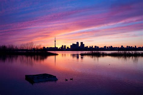 50 things to do this summer in Toronto