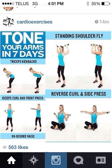 Tone Your Arms Fast Musely