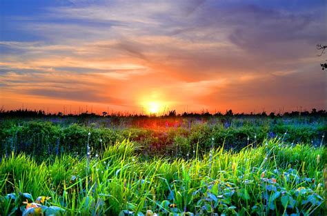 Rural Sunset Over Field Photograph By Esther Luna Fine Art America