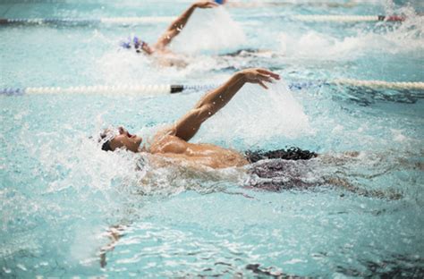 Swimmers Racing In Pool Stock Photo