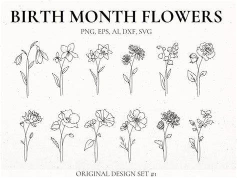 Birth Month Flower Svg Bundle Hand Drawn Flower Flower Etsy Birth