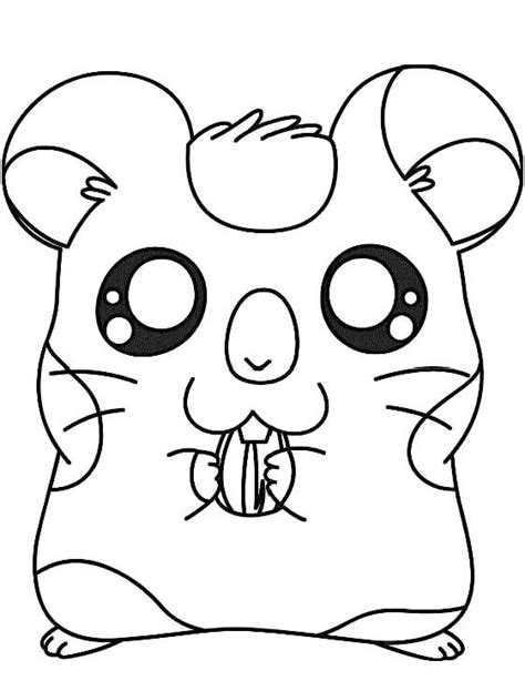 Colouring Page Cute Hamster - Cute Hamster Coloring Pages - Coloring